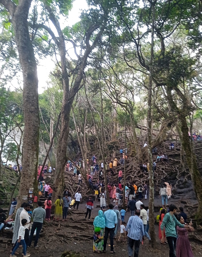 Madurai to Kodaikanal tempo traveller